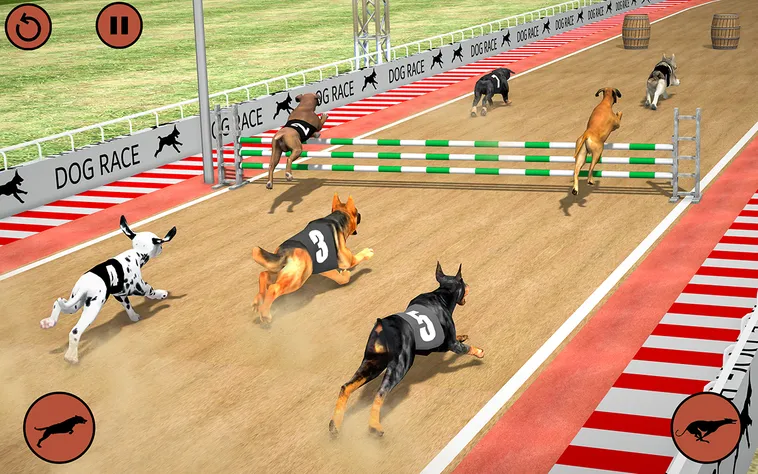 Cách Chơi Game Nhanh Đua Chó Tại HM88 Để Về Đích Thành Công Nhất