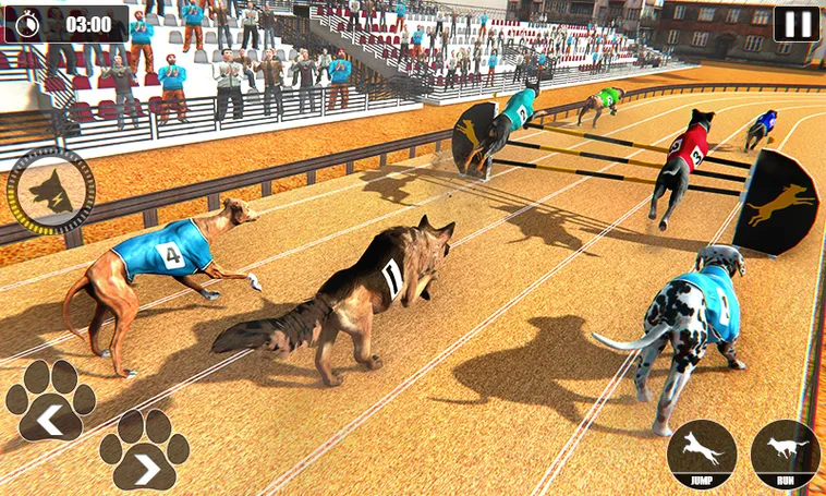 Cách Chơi Game Nhanh Đua Chó Tại HM88 Để Về Đích Thành Công Nhất