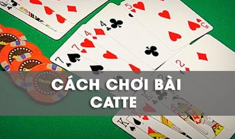 Hướng Dẫn Cách Chơi Sắc Tê Nhà Cái HM88 Chi Tiết Cho Người Mới Bắt Đầu